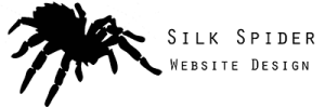 Silk Spider Web Design